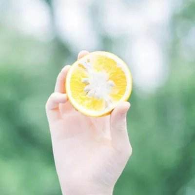 手机买彩票app下载截图